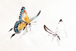 Papillons escargots, Alexia Dou, 2021